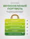 Вечнозеленый портфель: как управлять инвестициями, чтобы оставаться в плюсе