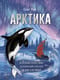 Арктика