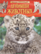 Детеныши животных. Детская энциклопедия