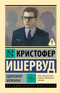 Одинокий мужчина