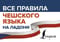 Все правила чешского языка на ладони