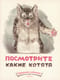 Посмотрите какие котята