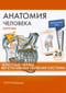 Анатомия человека. Карточки. Черепные нервы. Вегетативная нервная система